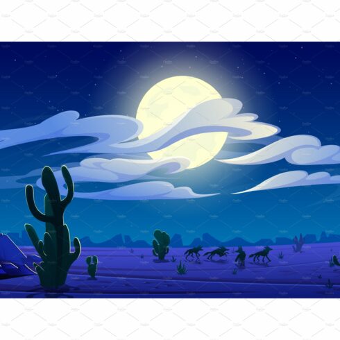 Arizona night desert landscape cover image.