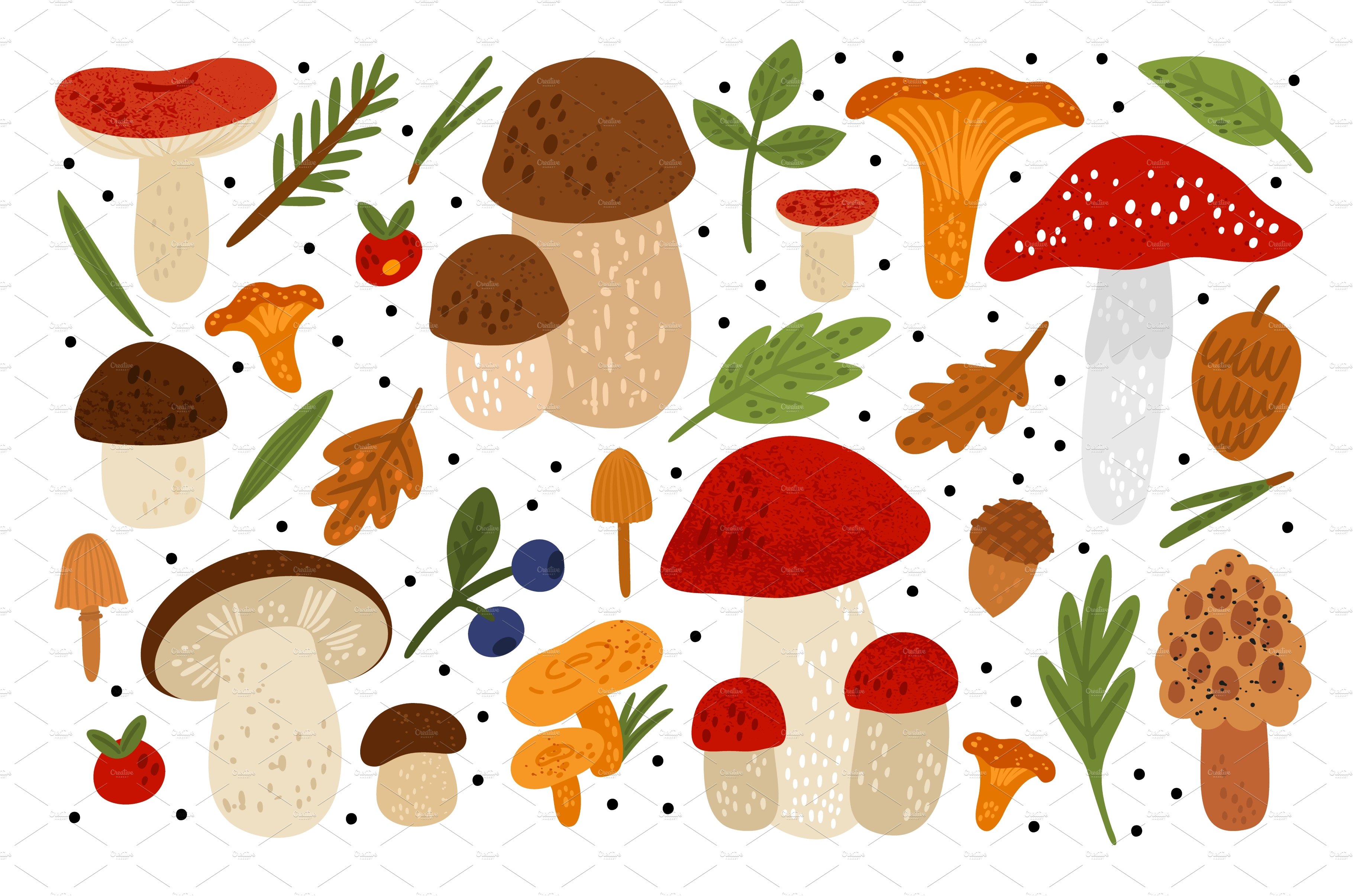 Forest mushrooms. Woodland fungus cover image.