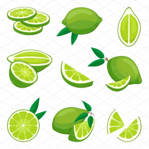 Lime citrus. Green agricultural cover image.