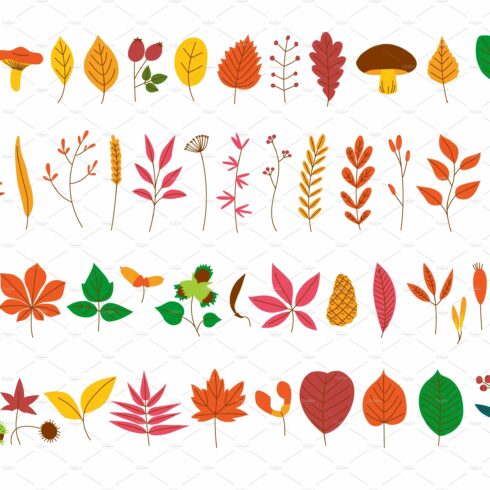 Autumn forest elements. Decorative cover image.