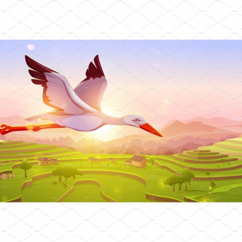 White stork flying in sky at sunset cover image.