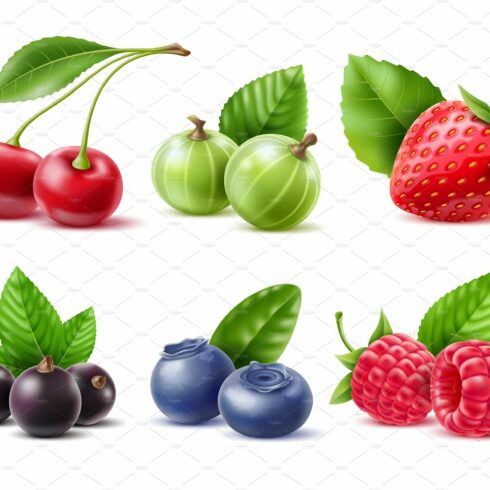Realistic berries. Different cover image.