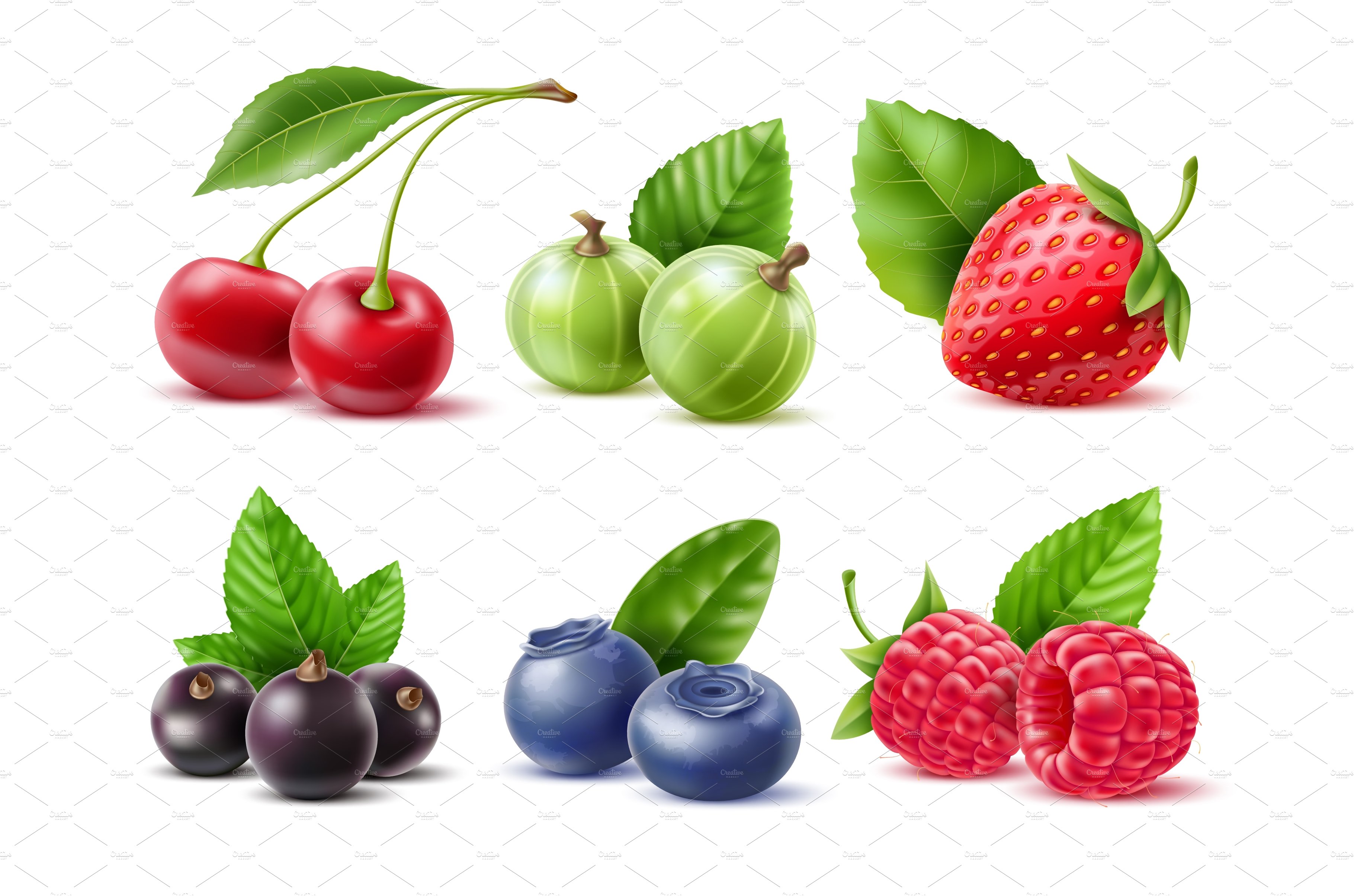 Realistic berries. Different cover image.