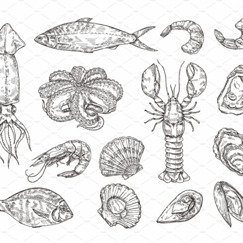 Sketch seafood. Hand drawn lobster cover image.