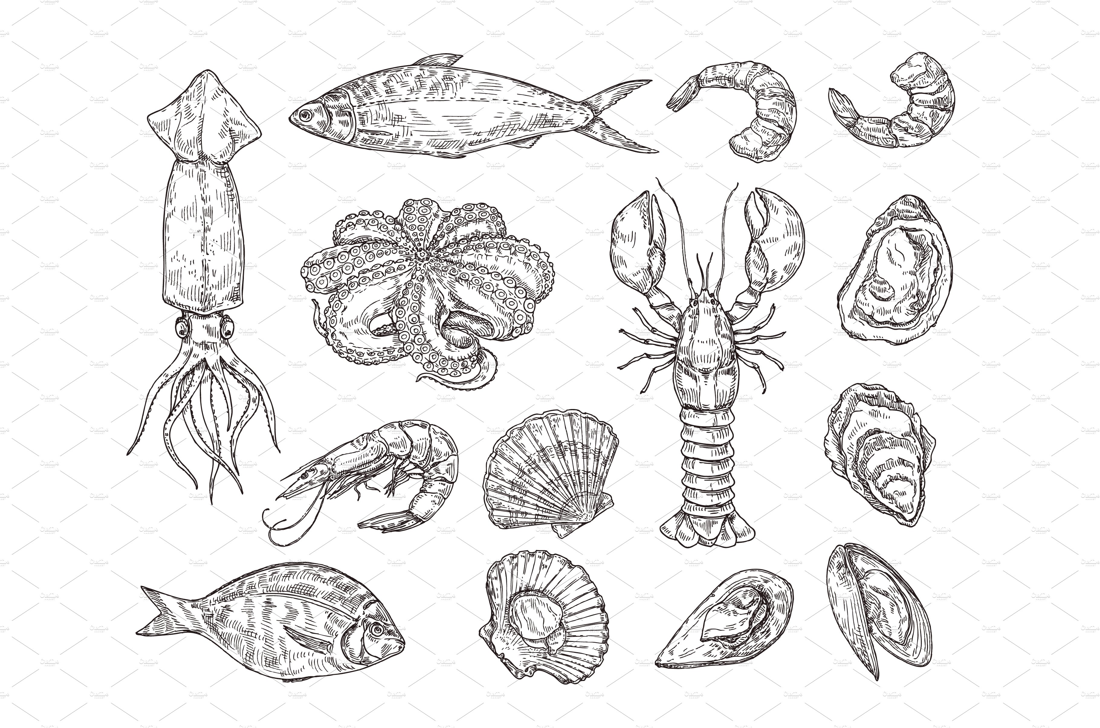 Sketch seafood. Hand drawn lobster cover image.