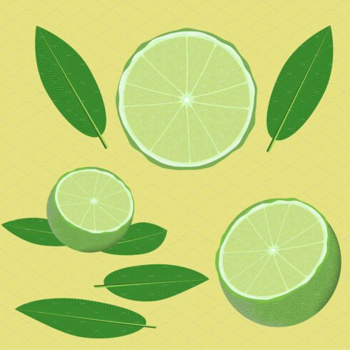 Lime and leaves cover image.