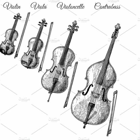 Bowed string instruments cover image.