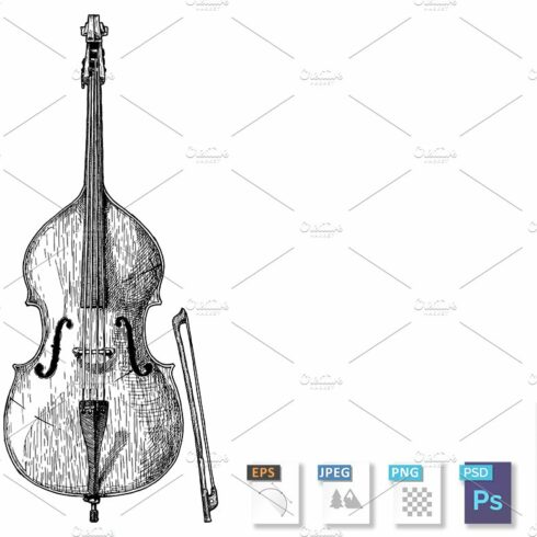 Contrabass violin cover image.