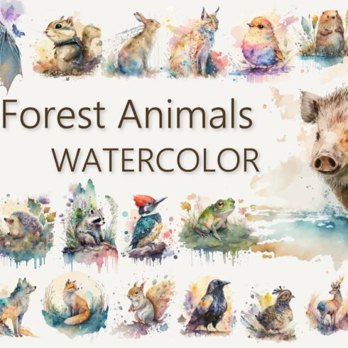 Forest animals set. Woodland fauna cover image.