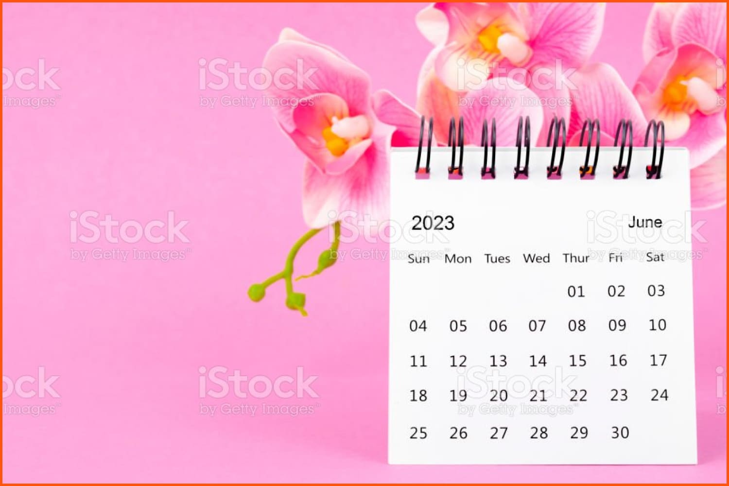 Desk calendar for June on a background of pink orchids.