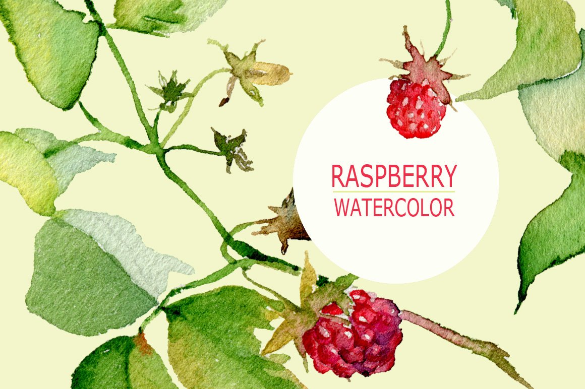 Raspberries isolated & 2 patterns cover image.