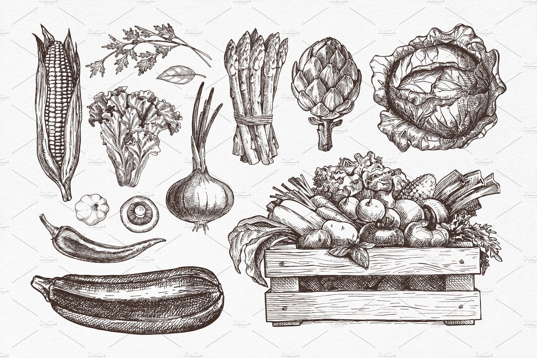How TO Draw vegetable/ easy Vegetables Drawing step by step - YouTube