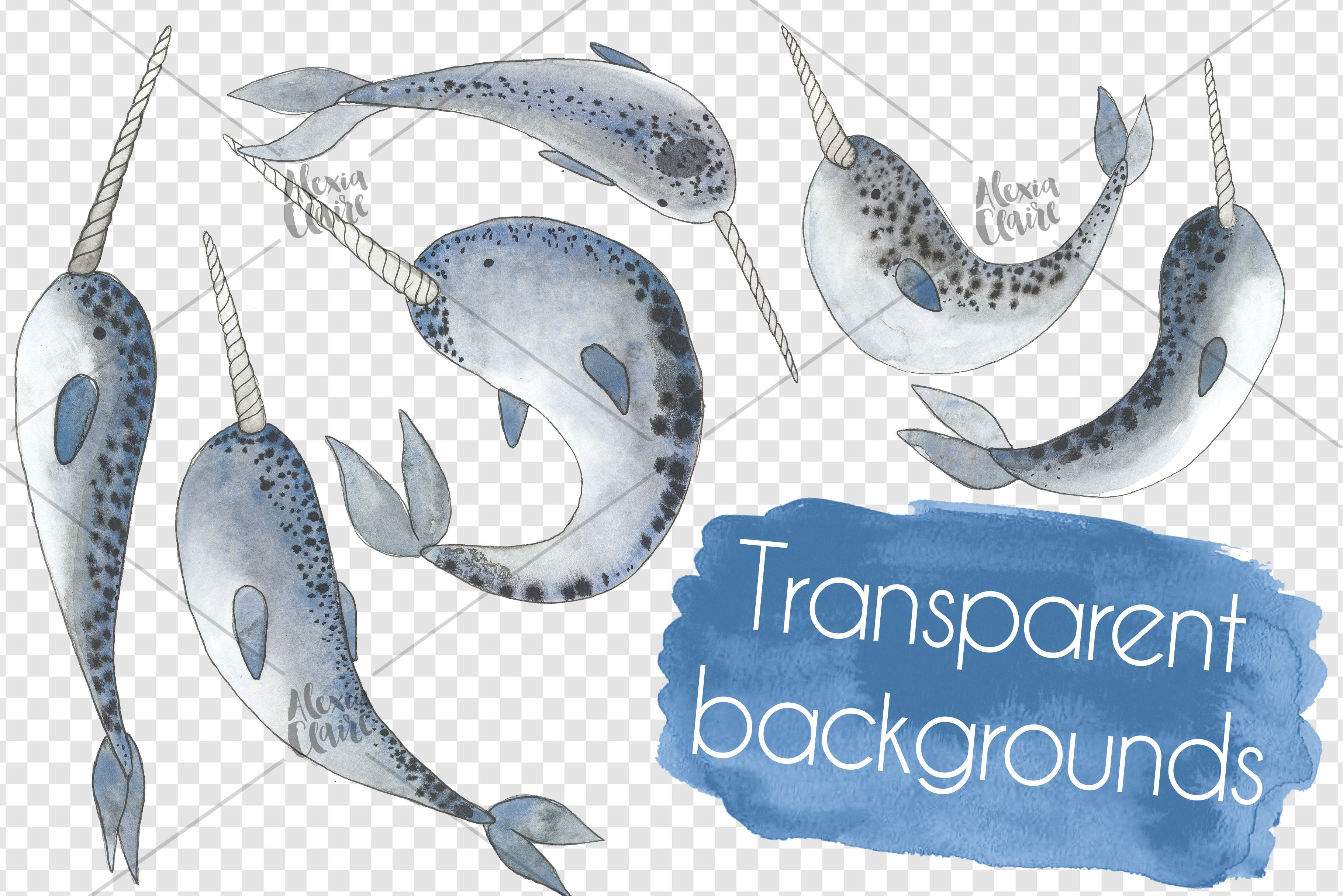 3 narwhals clipart 956