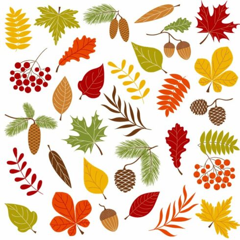 Autumn Forest Clip Art cover image.