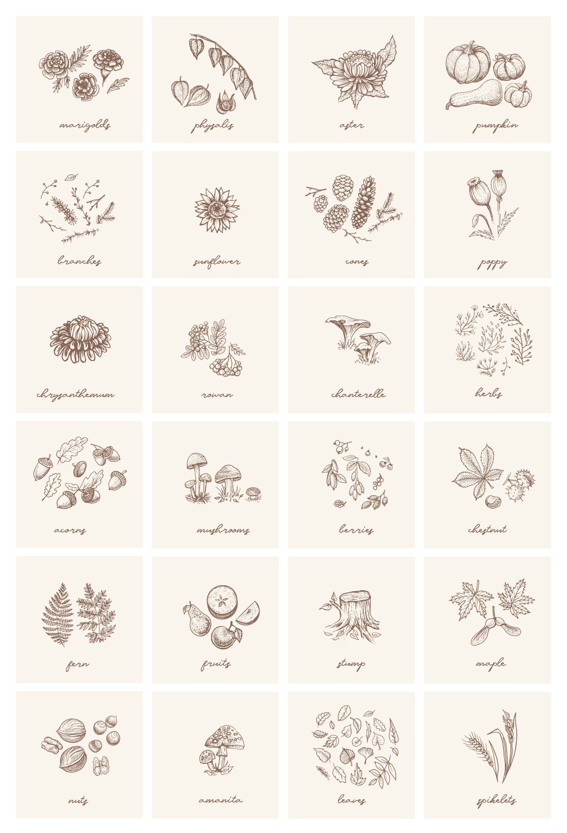 Autumn botanical sketches preview image.