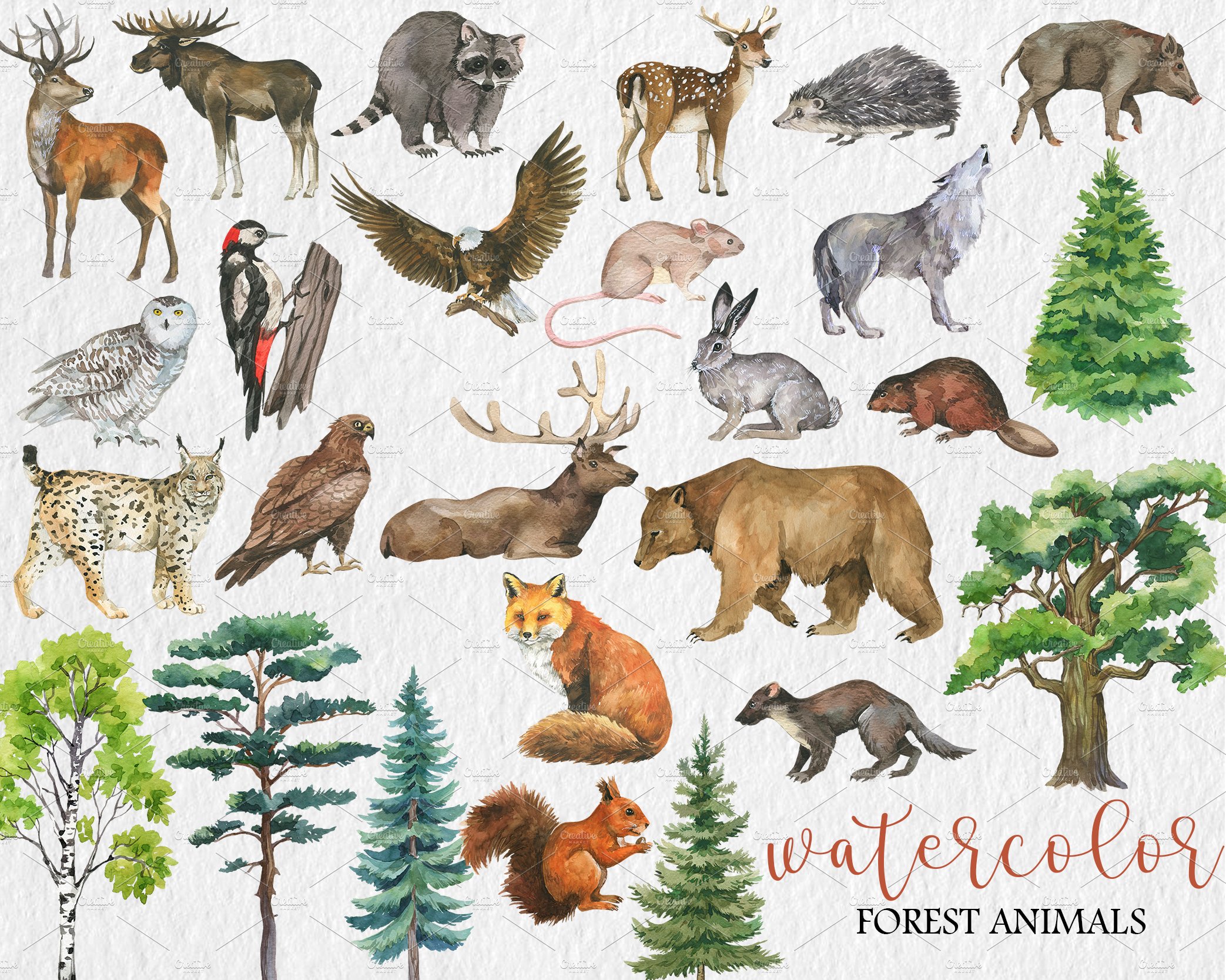 Watercolor Forest Animal Clipart PNG preview image.