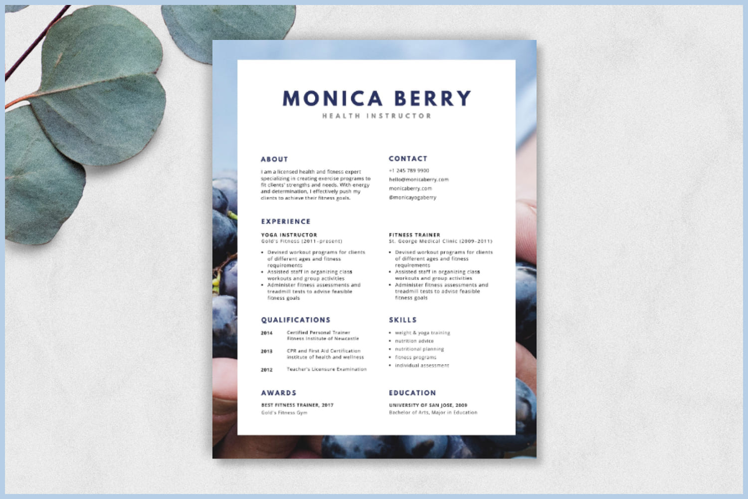 Resume with two columns of text and a photo of berries on the backing.