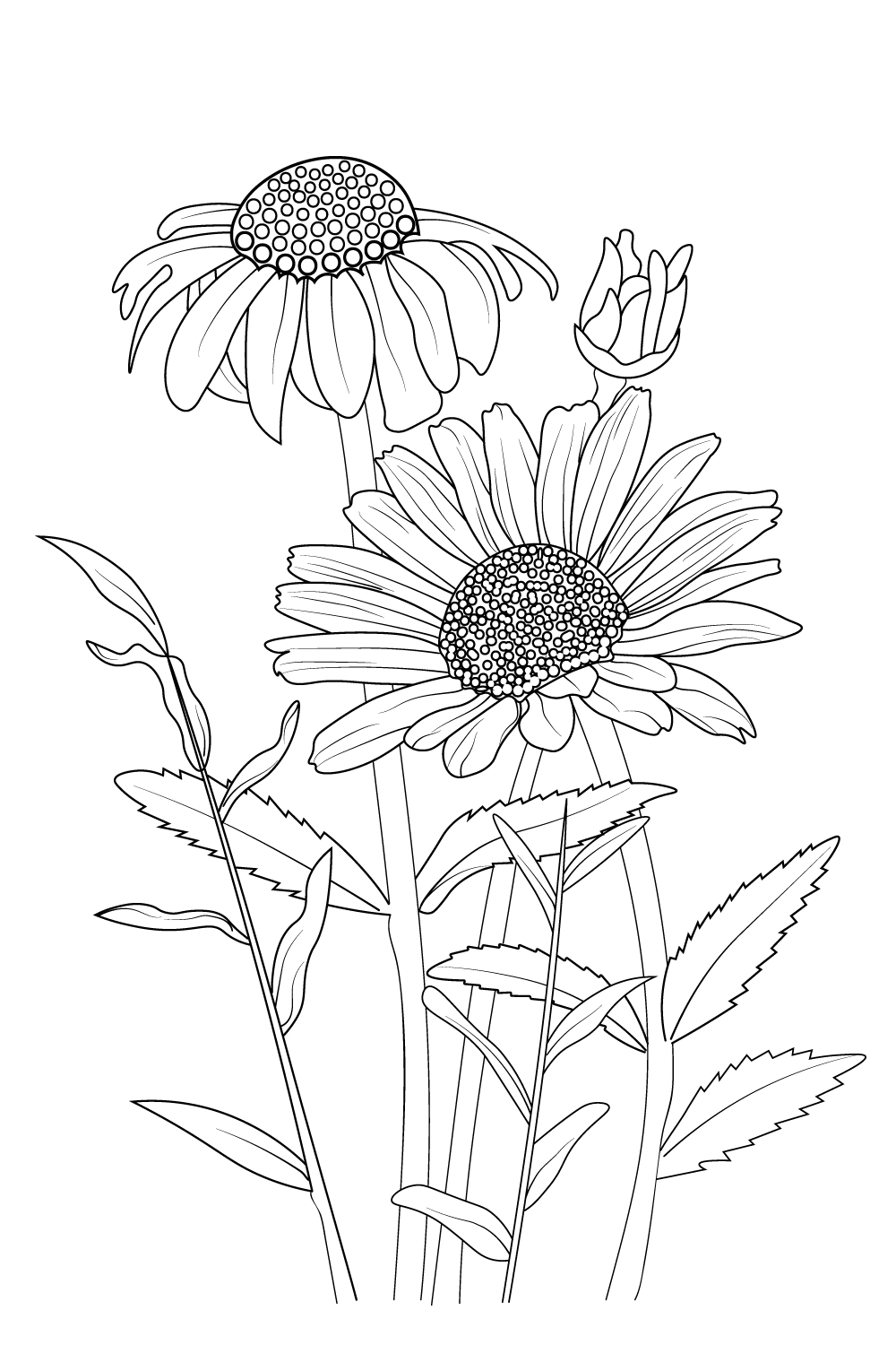 gerbera daisy drawing outline, easy gerbera daisy drawing, outline simple daisy drawing pinterest preview image.