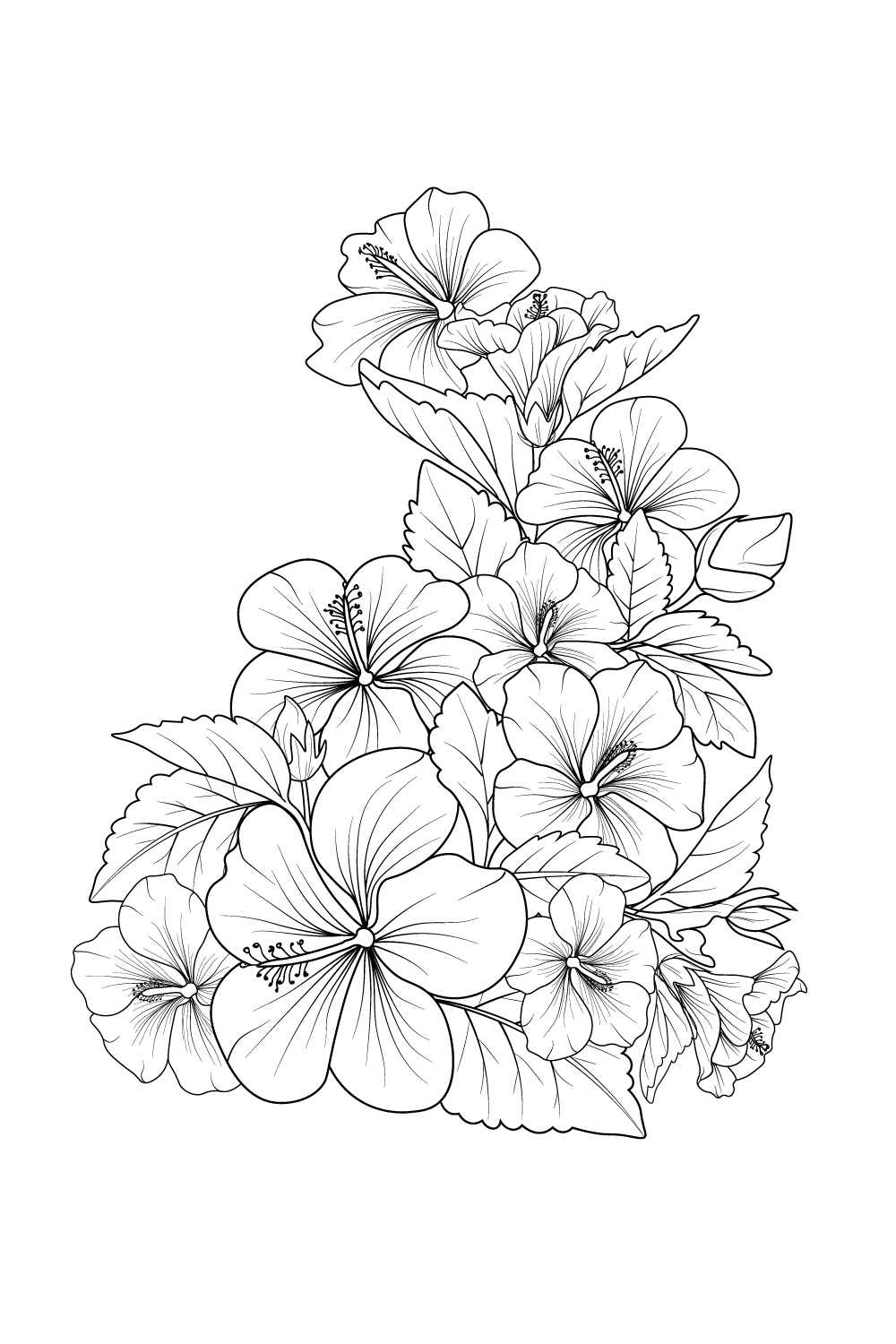 Hibiscus flowers illustration coloring page, simplicity, Embellishment, monochrome, rose vector art, pinterest preview image.
