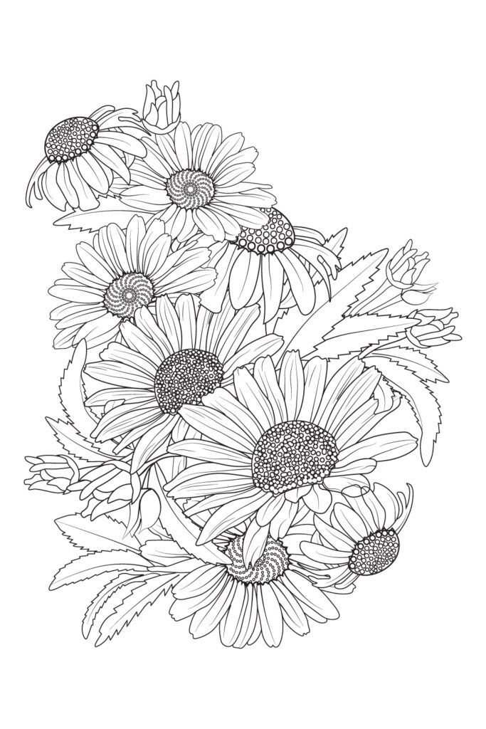 Daisy Flower Drawing Realistic. Botanical Daisy Flower Line Art 