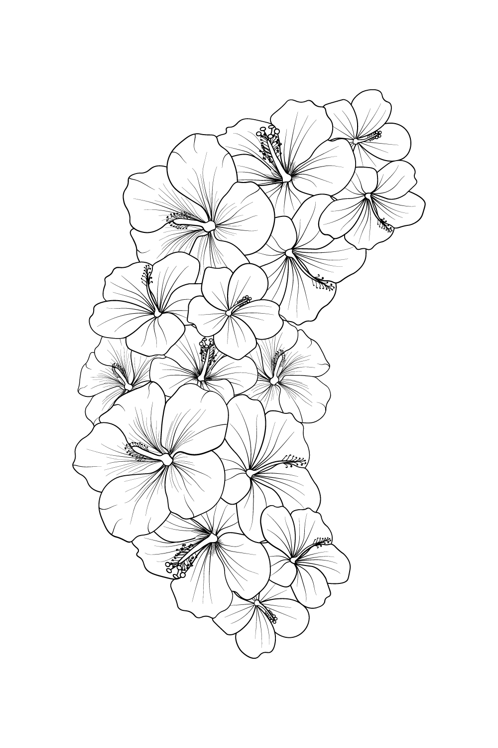 Hibiscus isolated, hand-drawn floral element vector illustration bouquet or china rose, pinterest preview image.