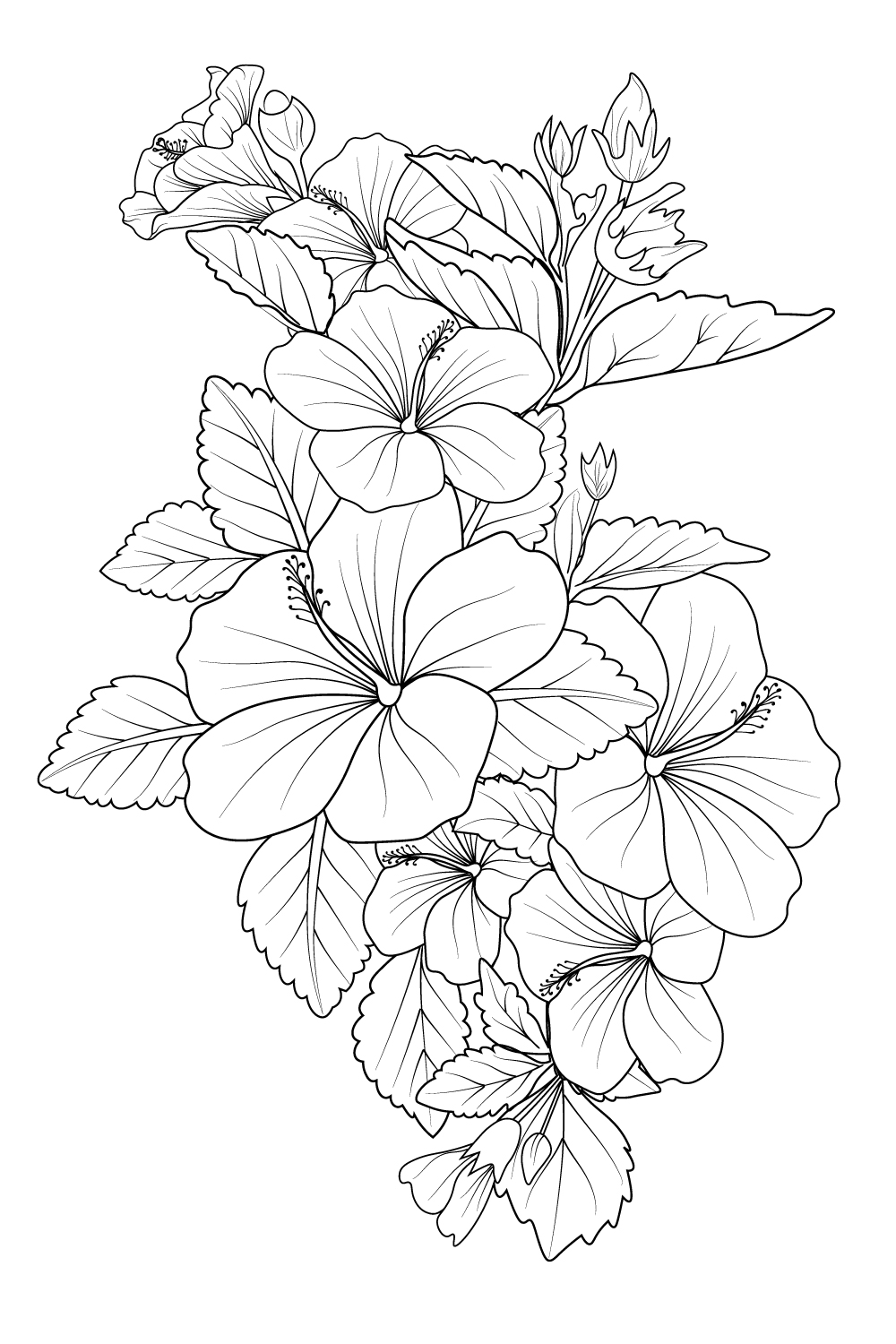 Hibiscus flower bouquet of vector sketch hand drawn illustration, natural collection branch of leaves bud pinterest preview image.