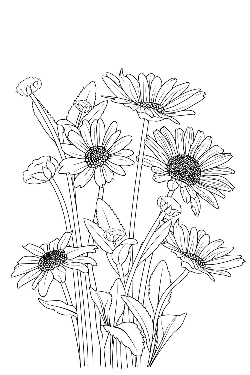 Outline Daisy flower drawing and botanical daisy flower illustration. daisy  vecetor art. - MasterBundles