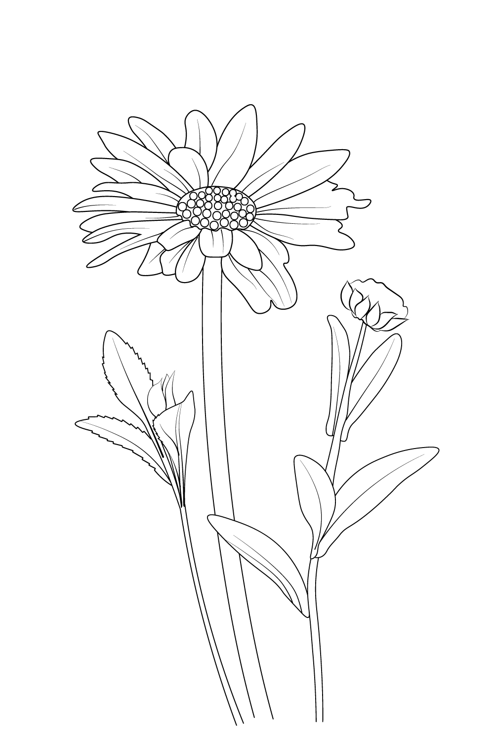 simple daisy flower drawing for kids, daisy flower line art, easy way to draw a daisy flower, pinterest preview image.