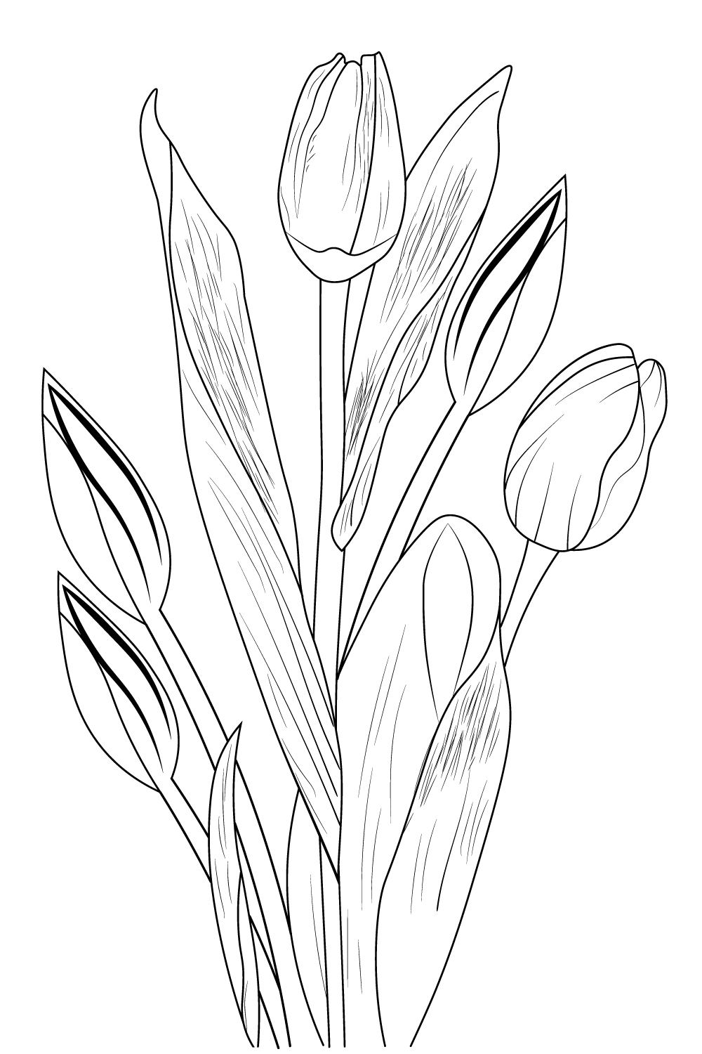 beautiful tulips flowers bouquet, tulip flower vector art, tulip flower line art, tulip vector pinterest preview image.