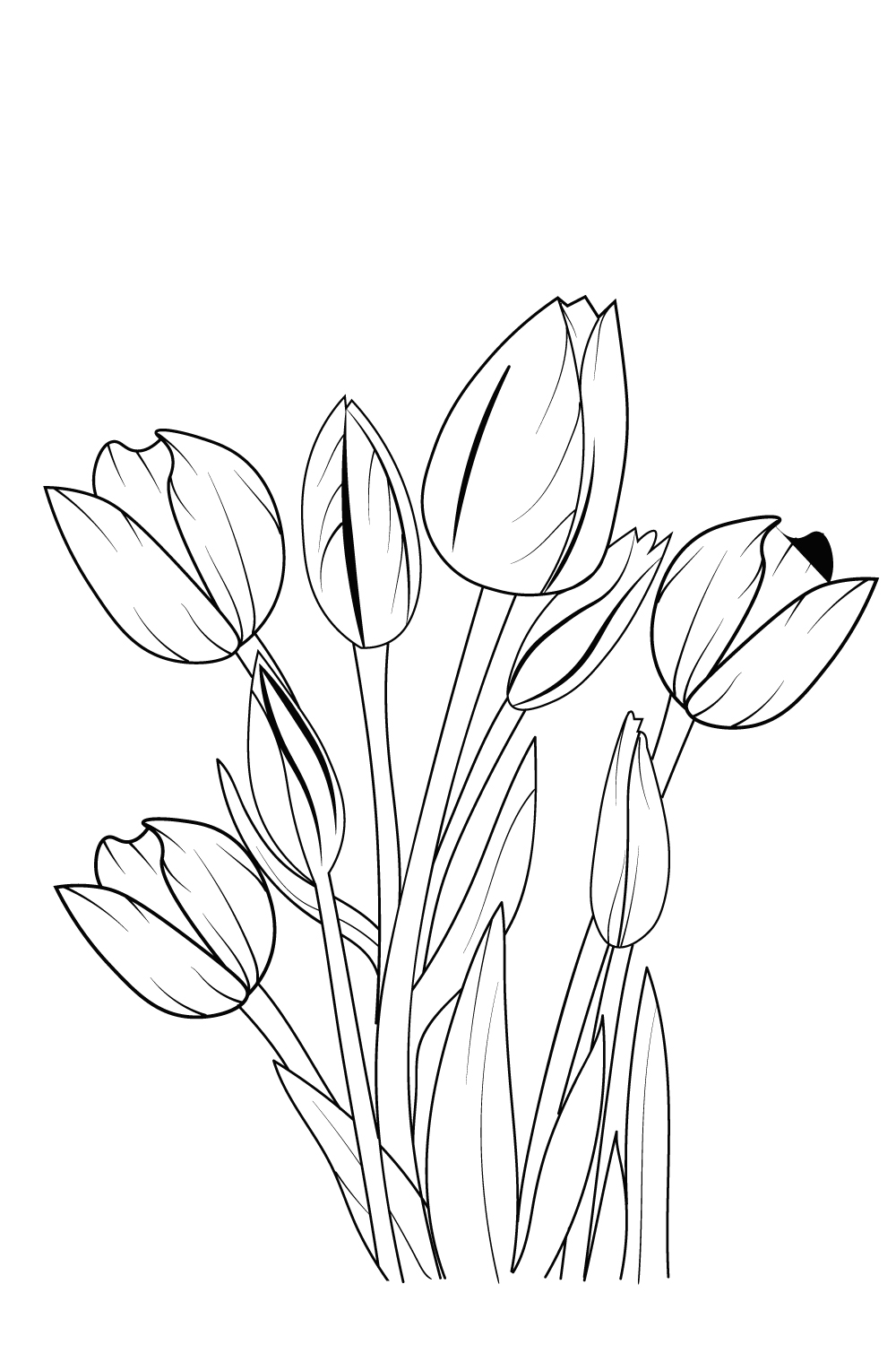 realistic tulip flower drawing, outline tulip flower drawing, tulip flower line drawing, sketch tulip drawing, pinterest preview image.