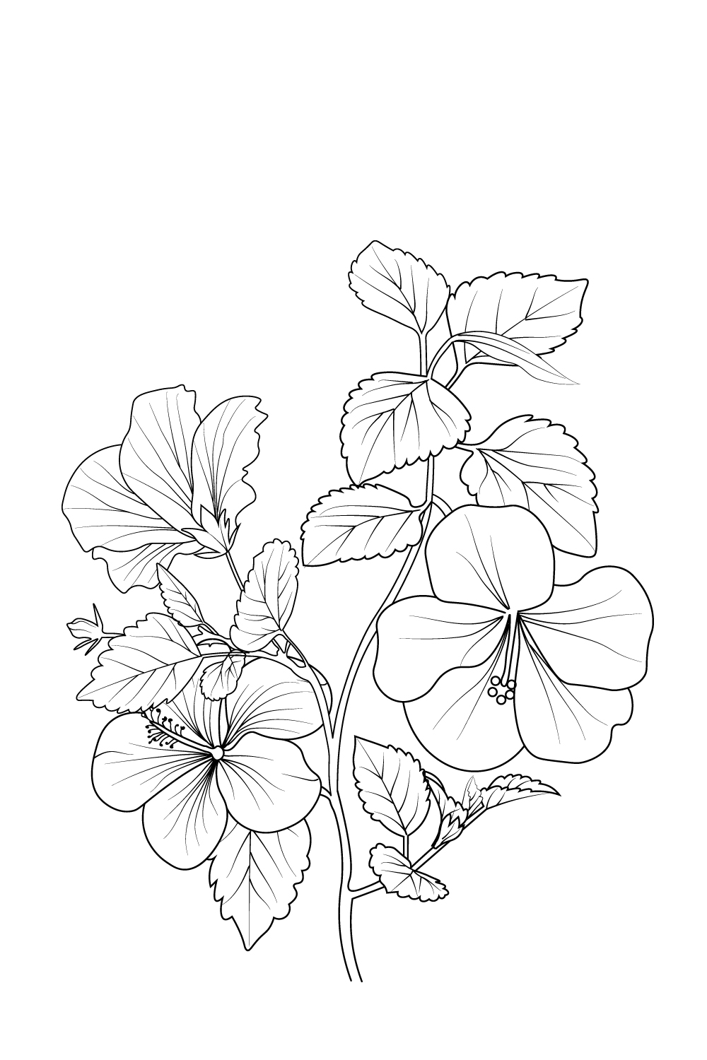 Flower coloring page and books, hand-drawn monochrome vector sketch hibiscus flower, pinterest preview image.