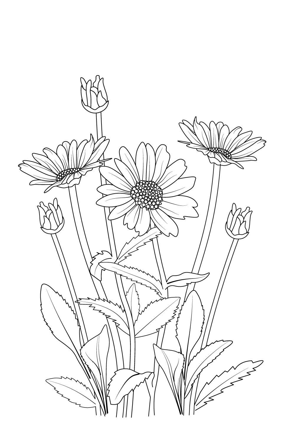 daisy flower branch vector line art, daisy drawing, daisy drawing outline pinterest preview image.