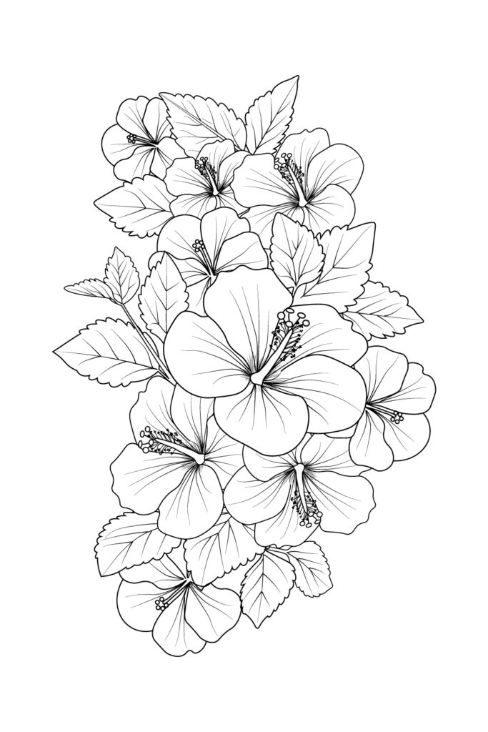 vector hibiscus flower. hibiscus flower drawing easy, sketch easy ...