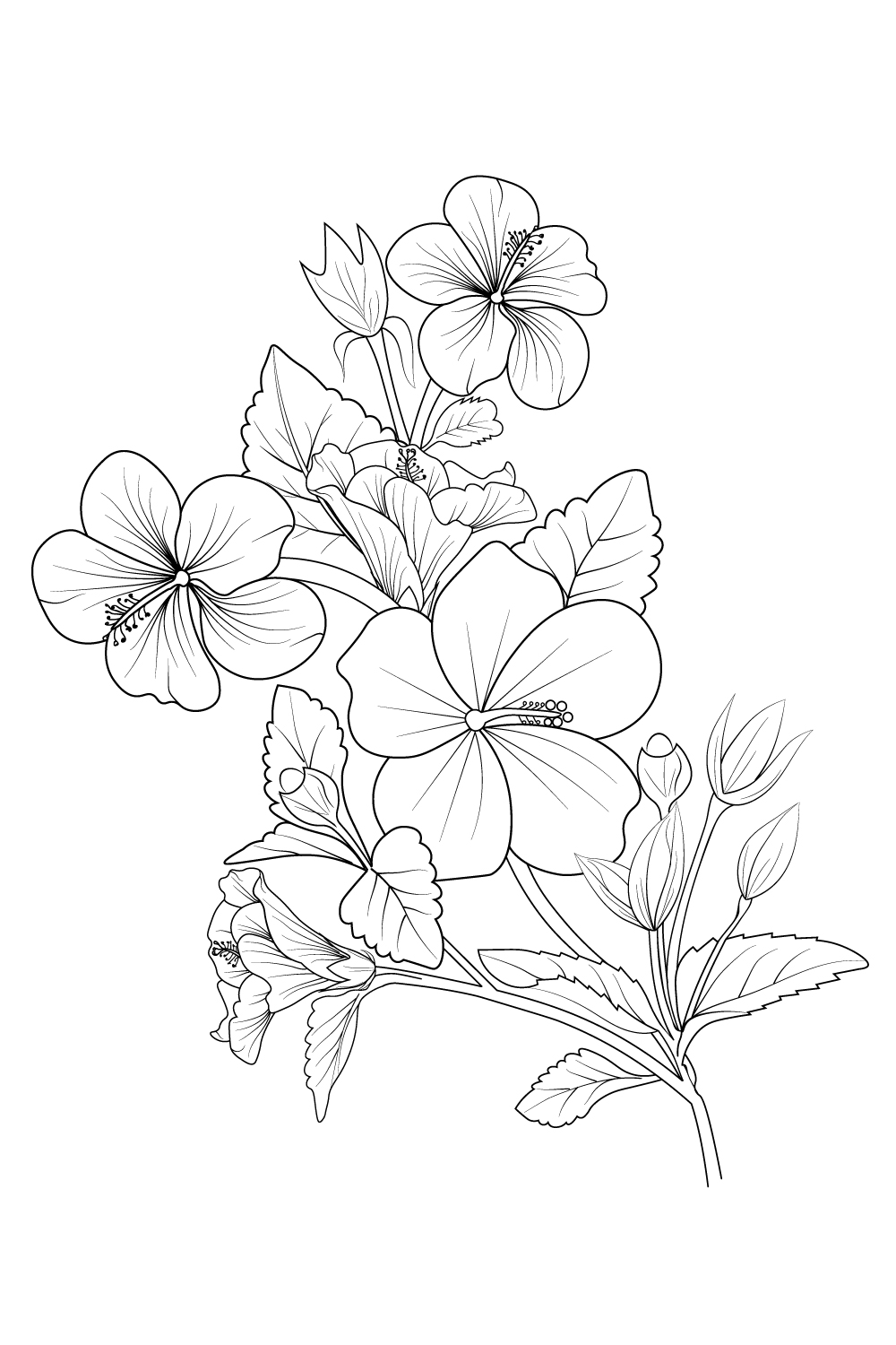 Blossom red hibiscus flower branch of botanical illustration, china rose flower drawing pinterest preview image.