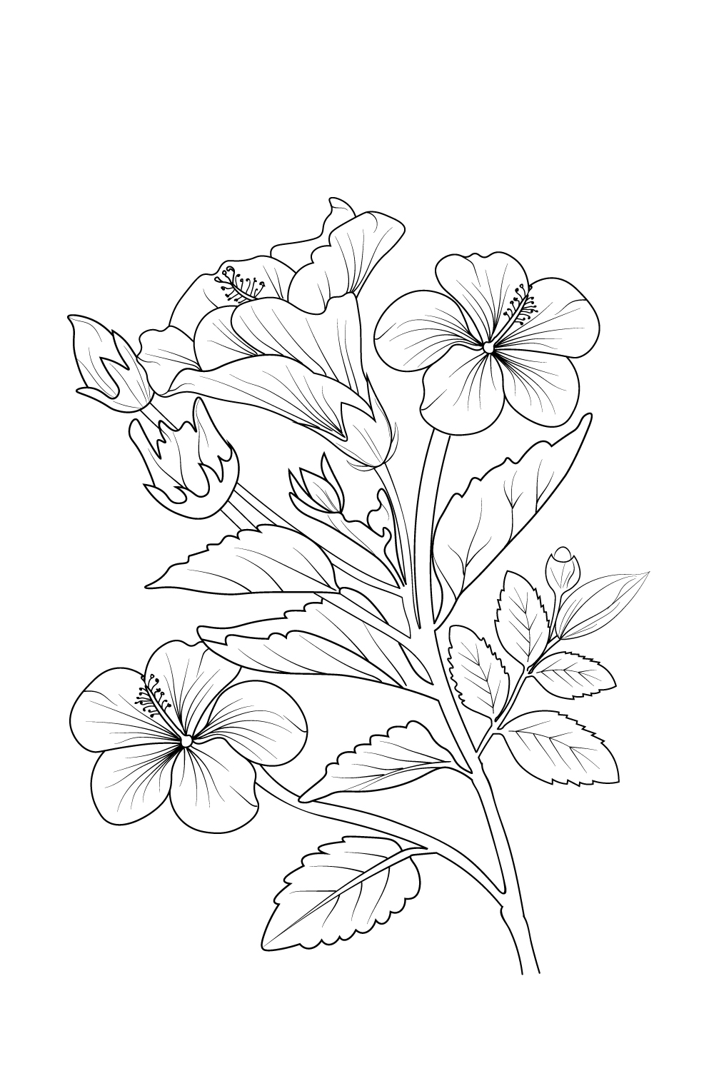 easy hibiscus flower sketch Botanical hibiscus flower drawing, hibiscus flower ink art pinterest preview image.