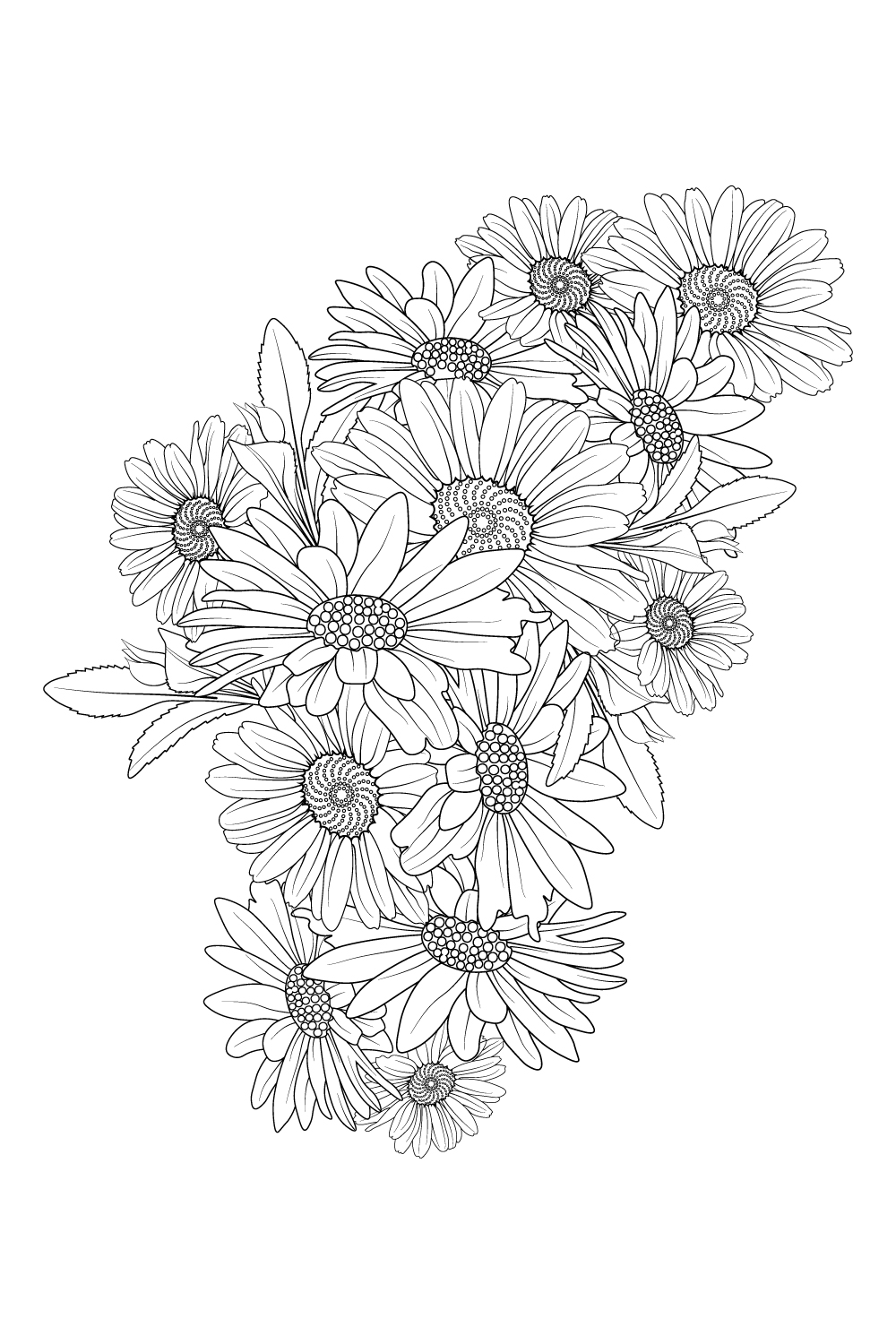 Illustration sketch contour bouquet of daisy flowers, gerbera daisy flower line art, pinterest preview image.