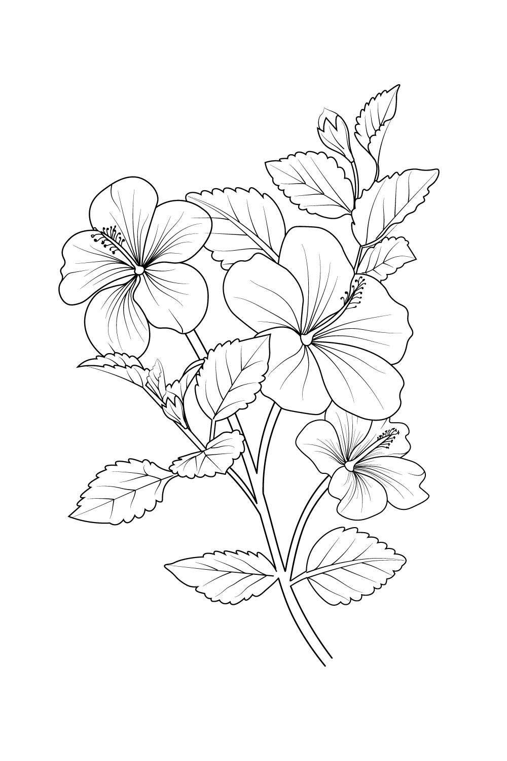 Isolated hibiscus hand-drawn vector sketch illustration, botanic collection branch of leaf buds natural collection coloring page pinterest preview image.