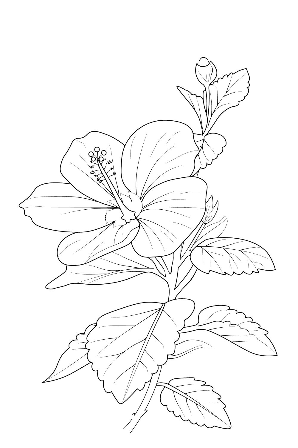 Hibiscus flower clipart vector hibiscus flower hibiscus flower drawing is easy, pinterest preview image.