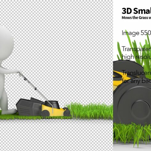 Mows the Grass with a Lawnmower cover image.