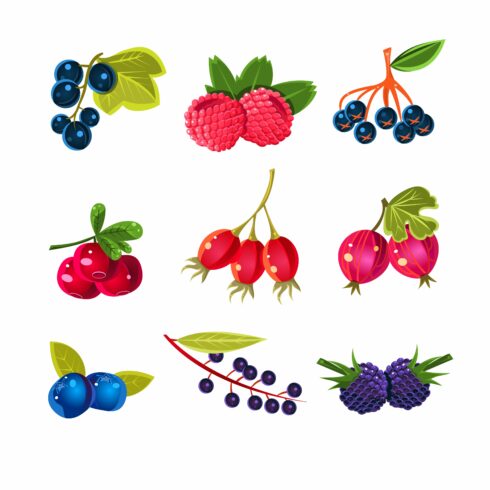 Juicy Colorful Berry Vector Set cover image.