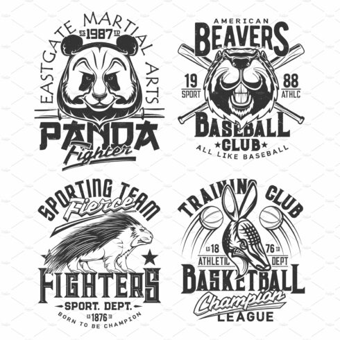 Baseball, basketball t-shirt prints cover image.