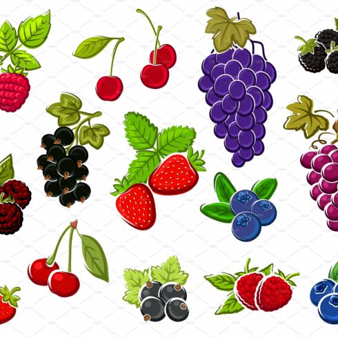 Wild and garden berries cover image.