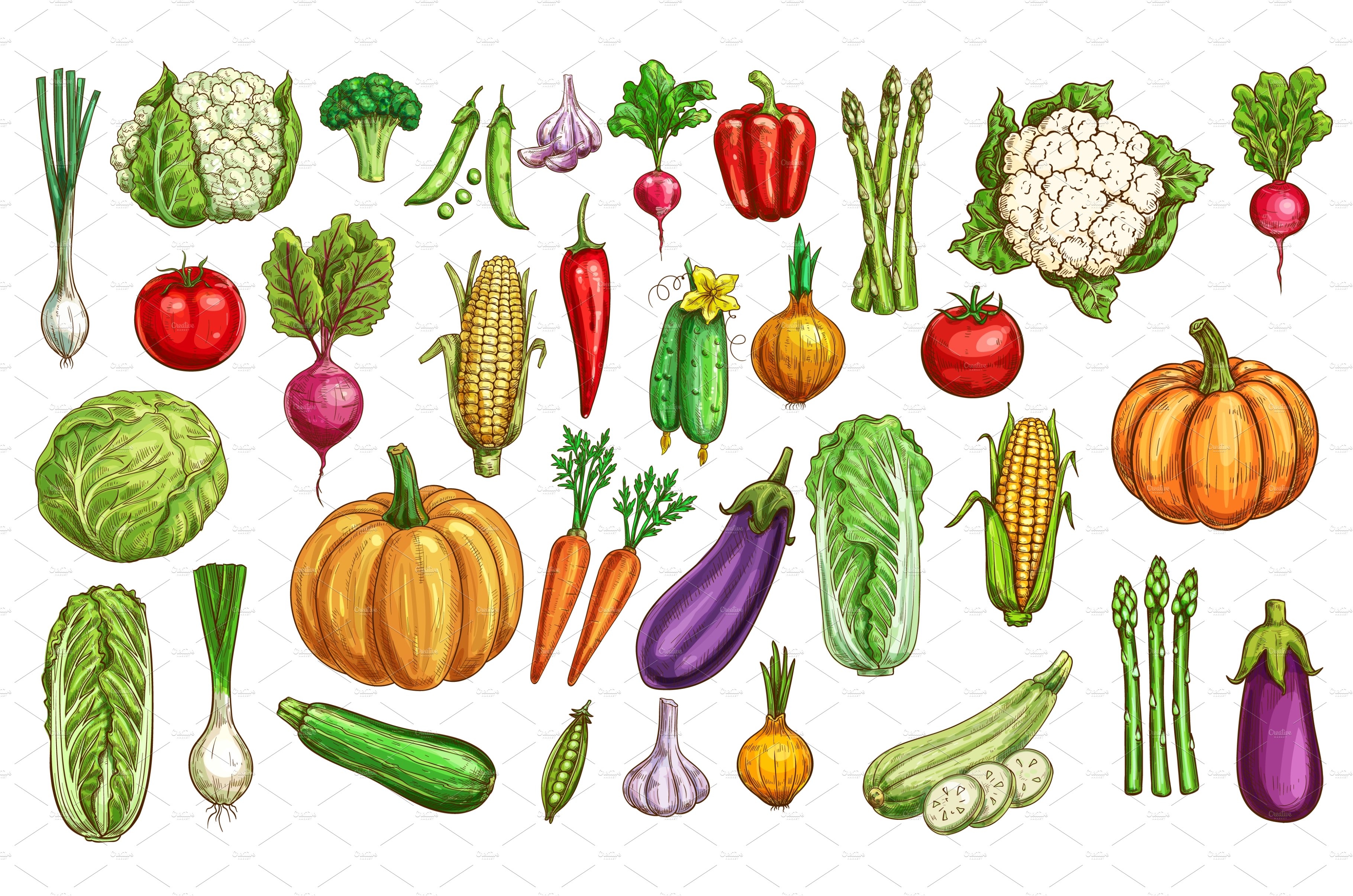 Farm vegetables and greenery cover image.