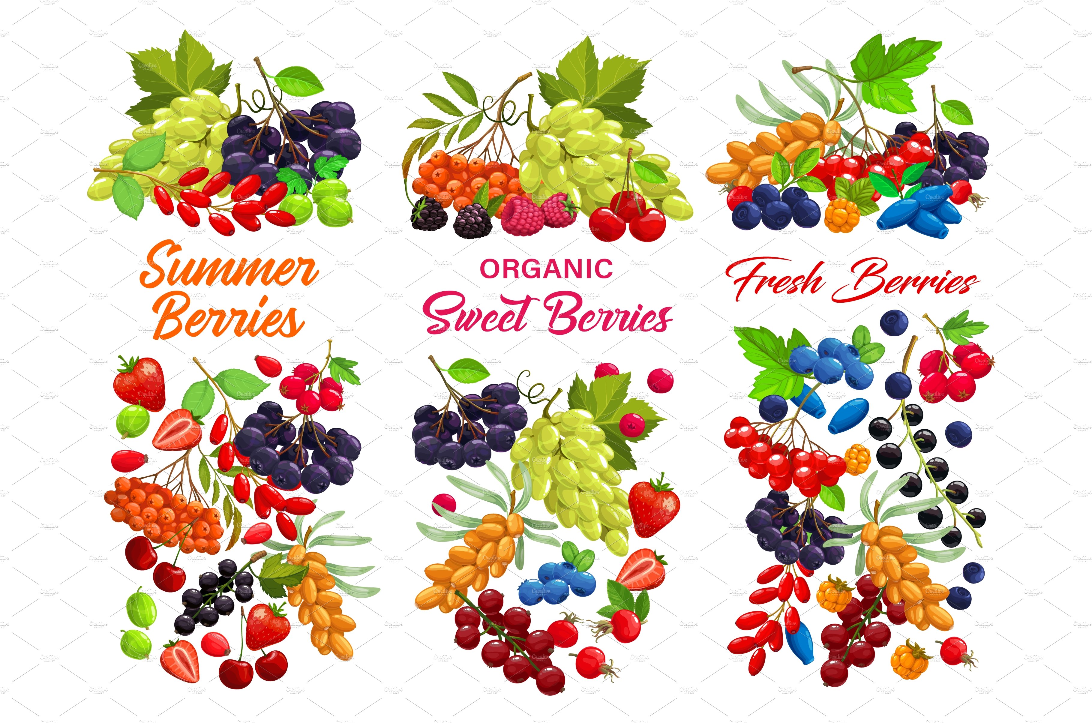 Berries, sweet juicy garden crop cover image.