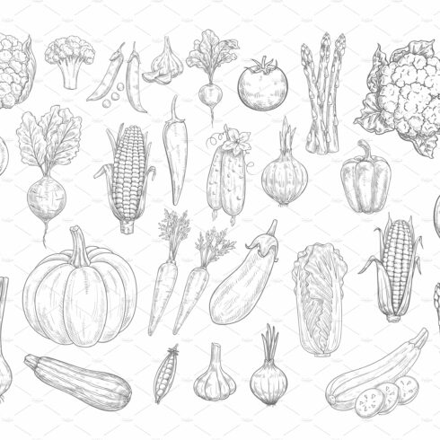 Vegetables sketches cover image.
