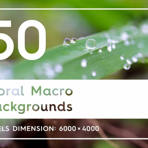 50 Floral Macro Backgrounds cover image.