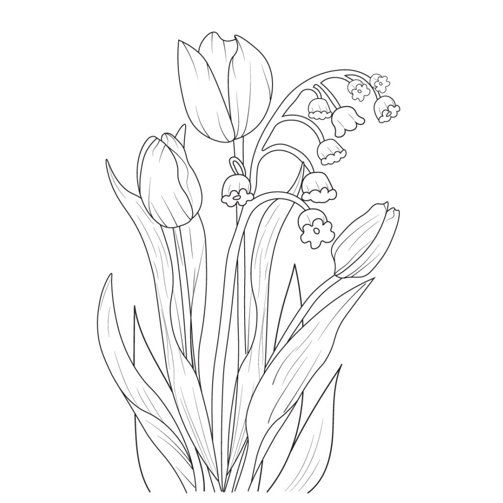 drawing pencil sketch tulips, tulips drawing aesthetic, cute tulips ...