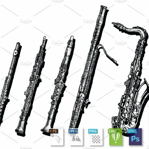 Woodwind musical instruments set cover image.