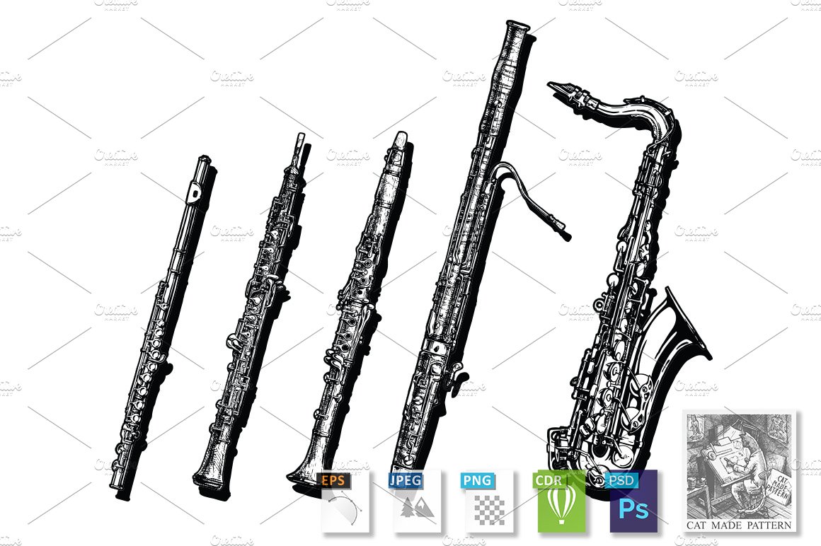 Woodwind musical instruments set cover image.