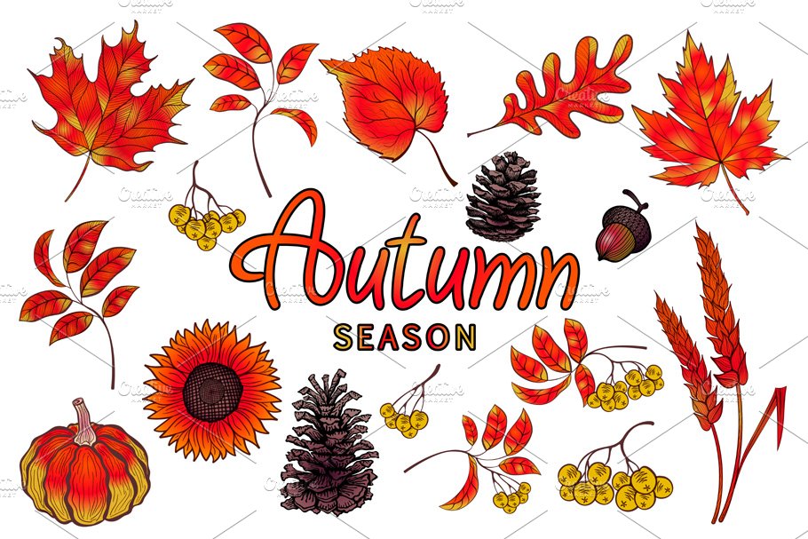 Set of colorful autumn leaves preview image.